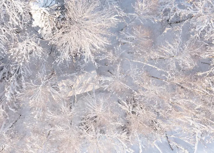 Paunkuela Nature Pensjonat 4*